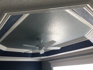 ceiling tray0034