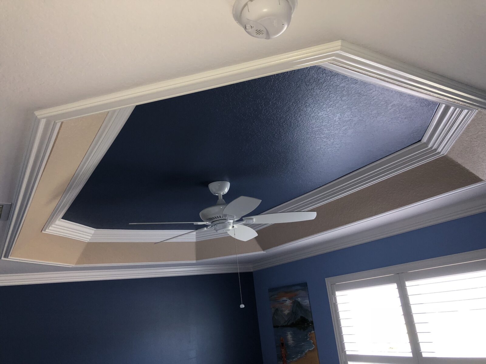 Tray Ceilings